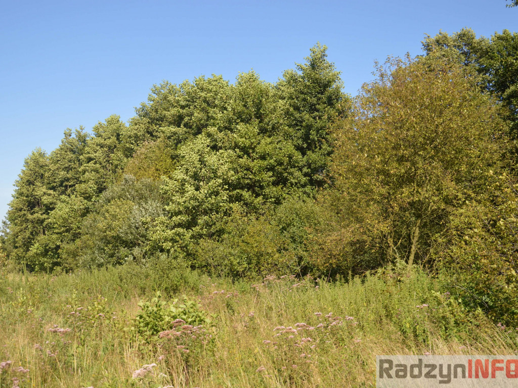 Osowińska natura