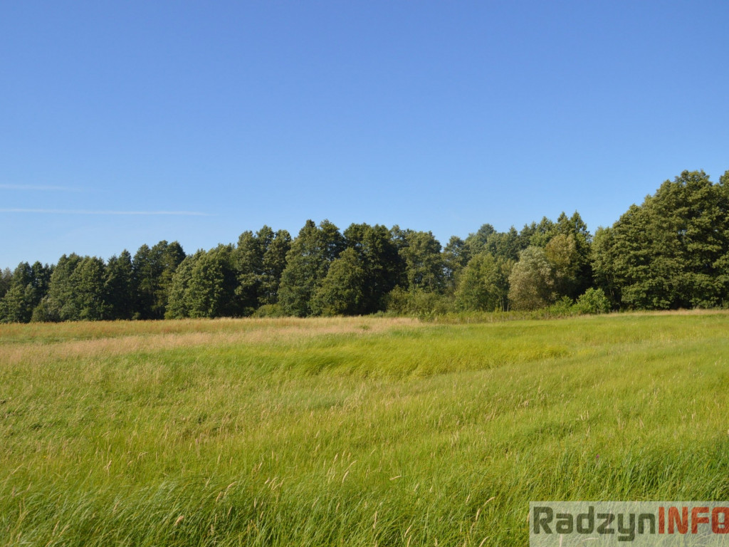 Osowińska natura