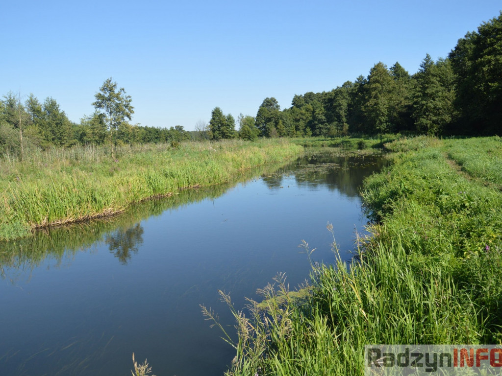 Osowińska natura