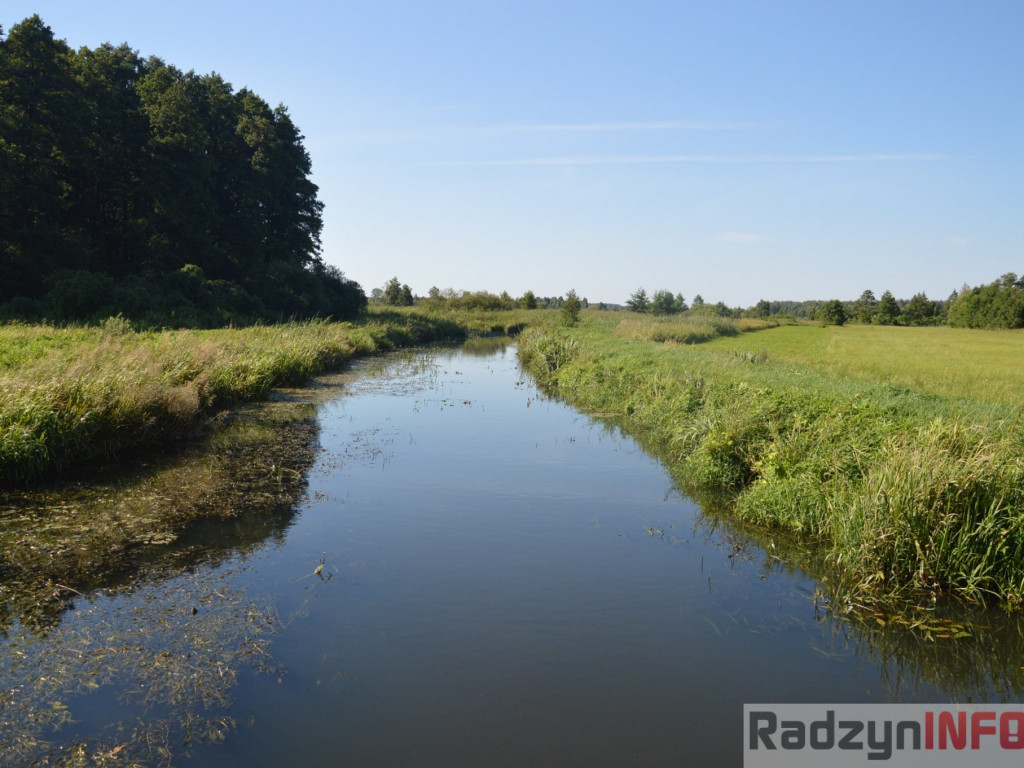 Osowińska natura