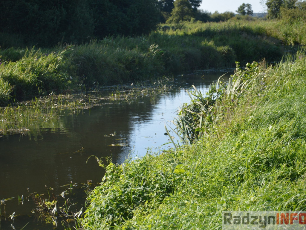 Osowińska natura