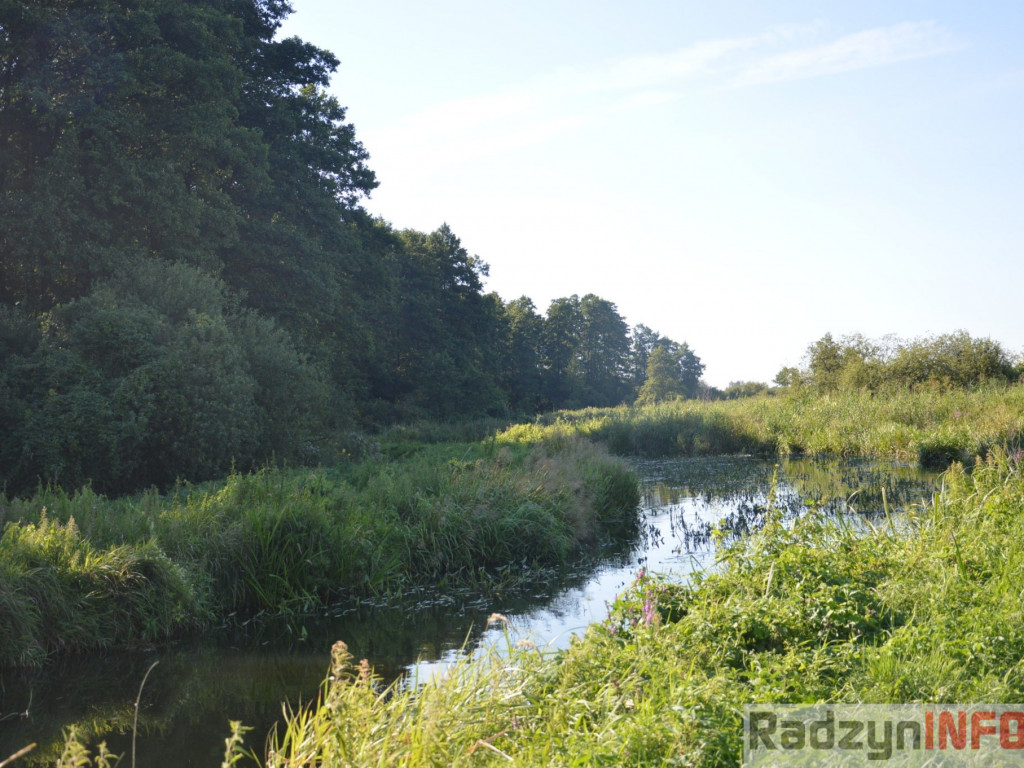 Osowińska natura