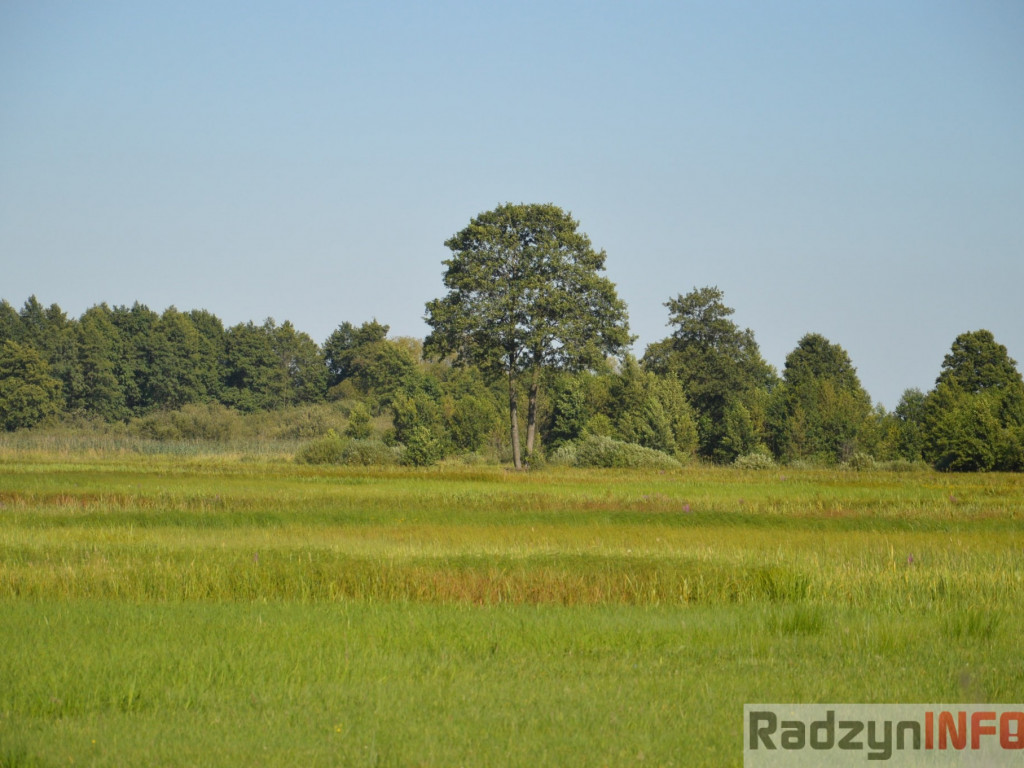 Osowińska natura