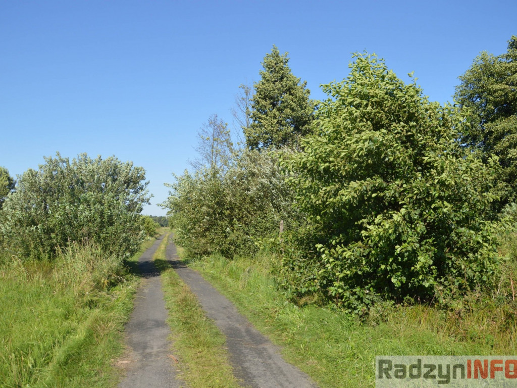 Osowińska natura