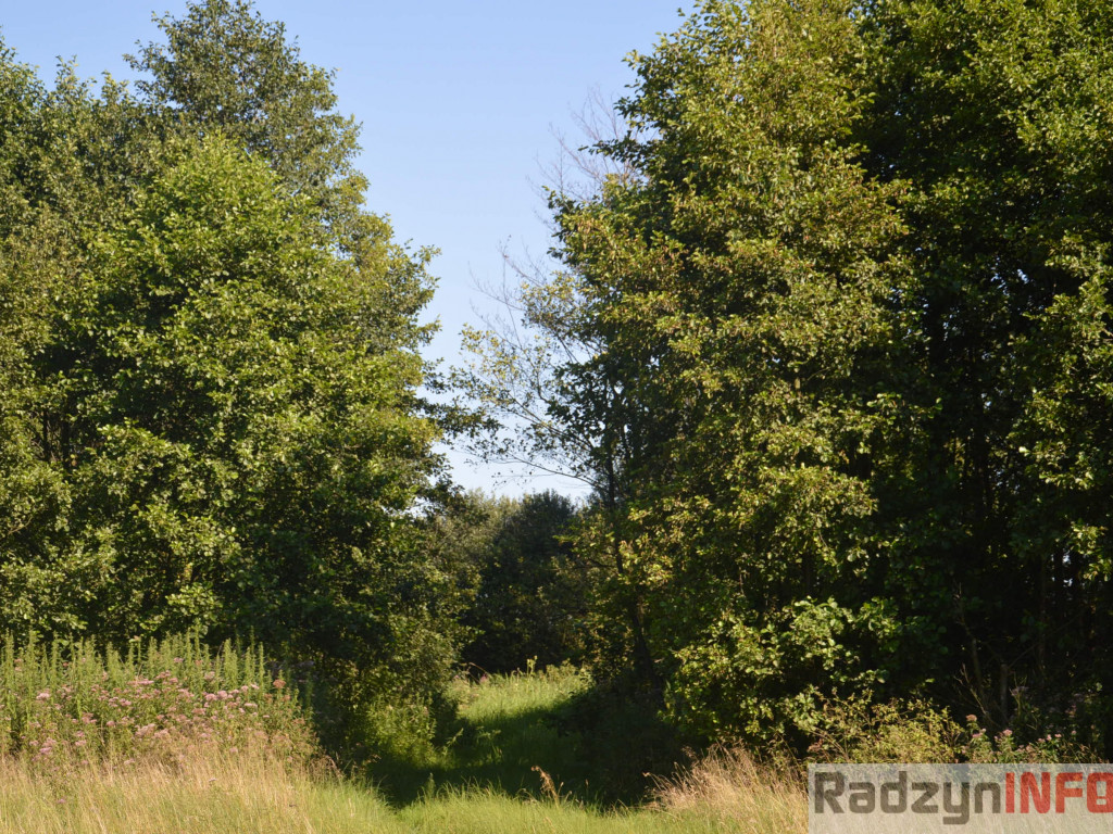 Osowińska natura