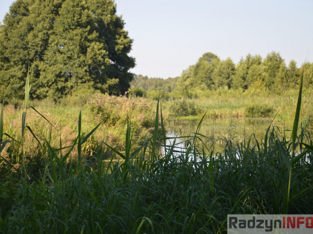 Osowińska natura