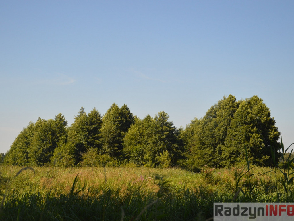 Osowińska natura