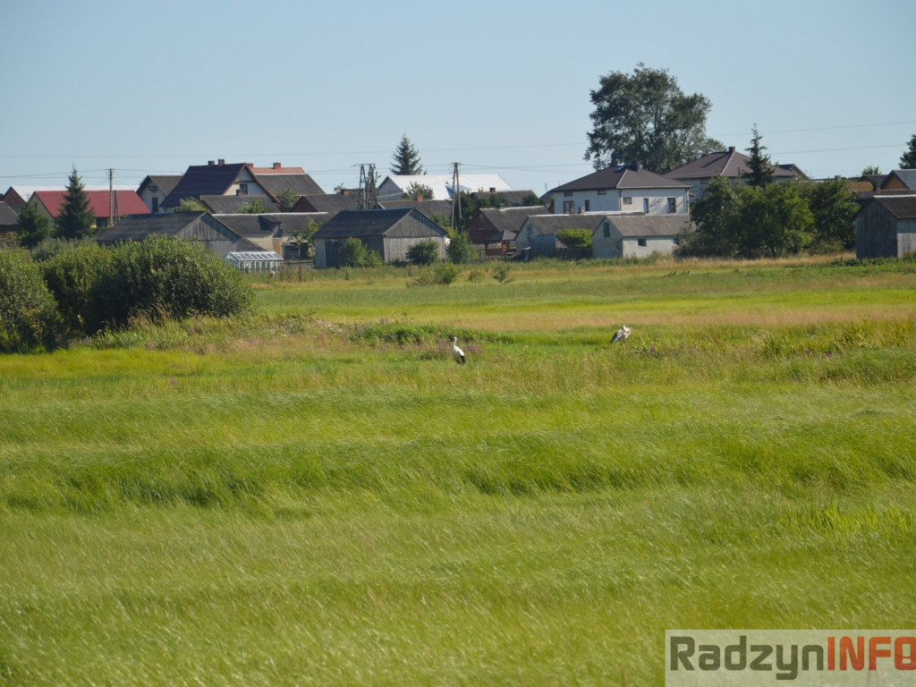 Osowińska natura