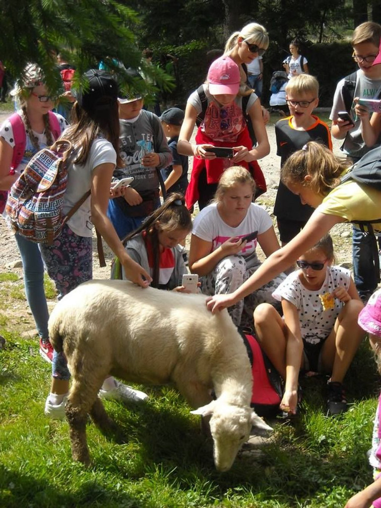 Najlepsi uczniowie i sportowcy gminy Borki na wycieczce do Zakopanego, Krakowa i Wadowic