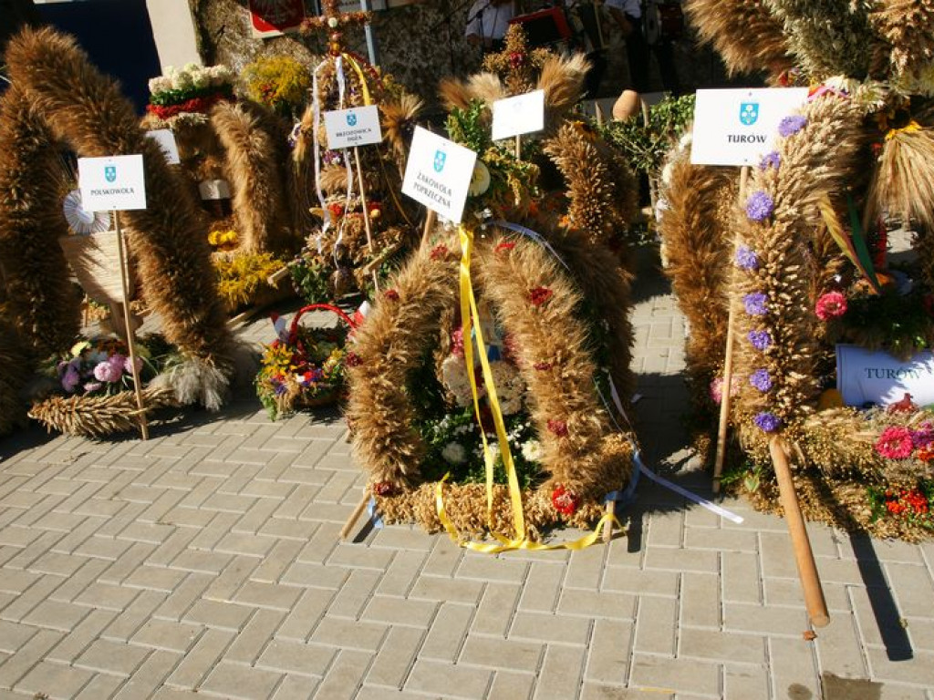 Dożynki w Kąkolewnicy