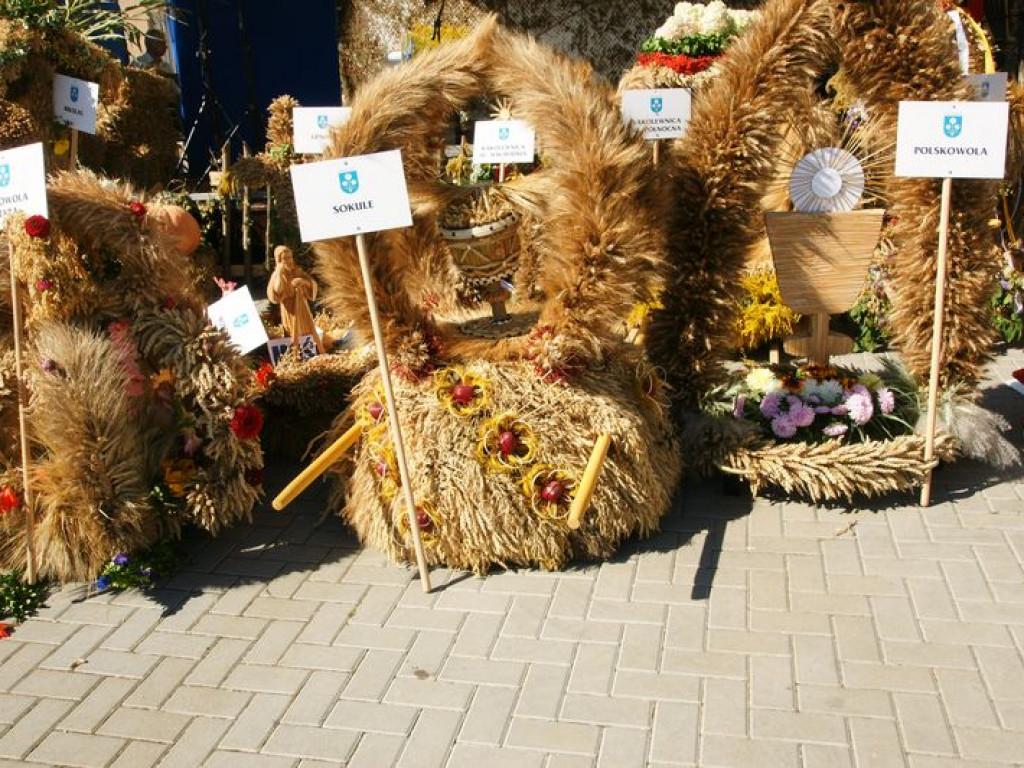 Dożynki w Kąkolewnicy