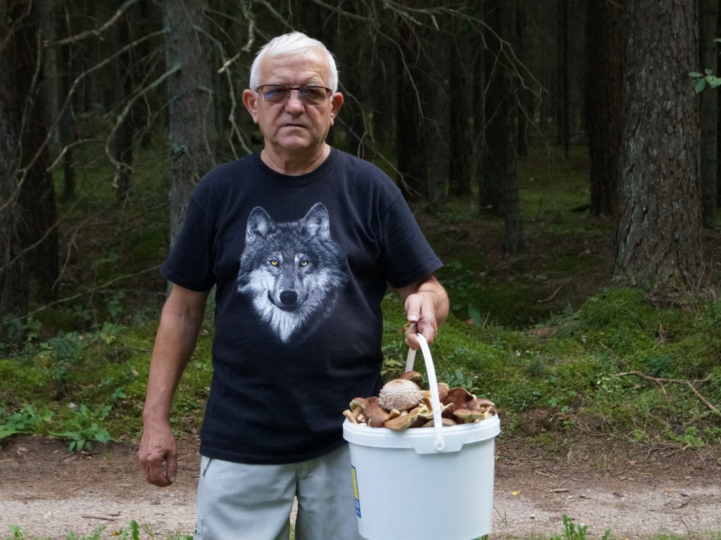 Grzybobranie