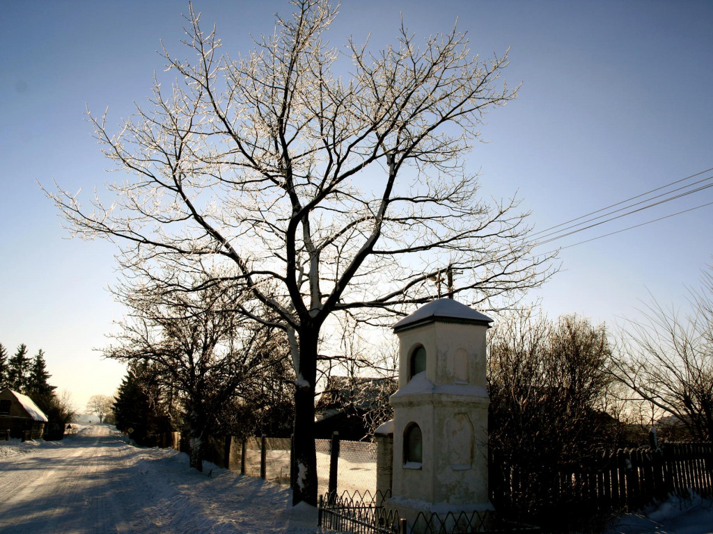 Piękno natury w gminie Borki