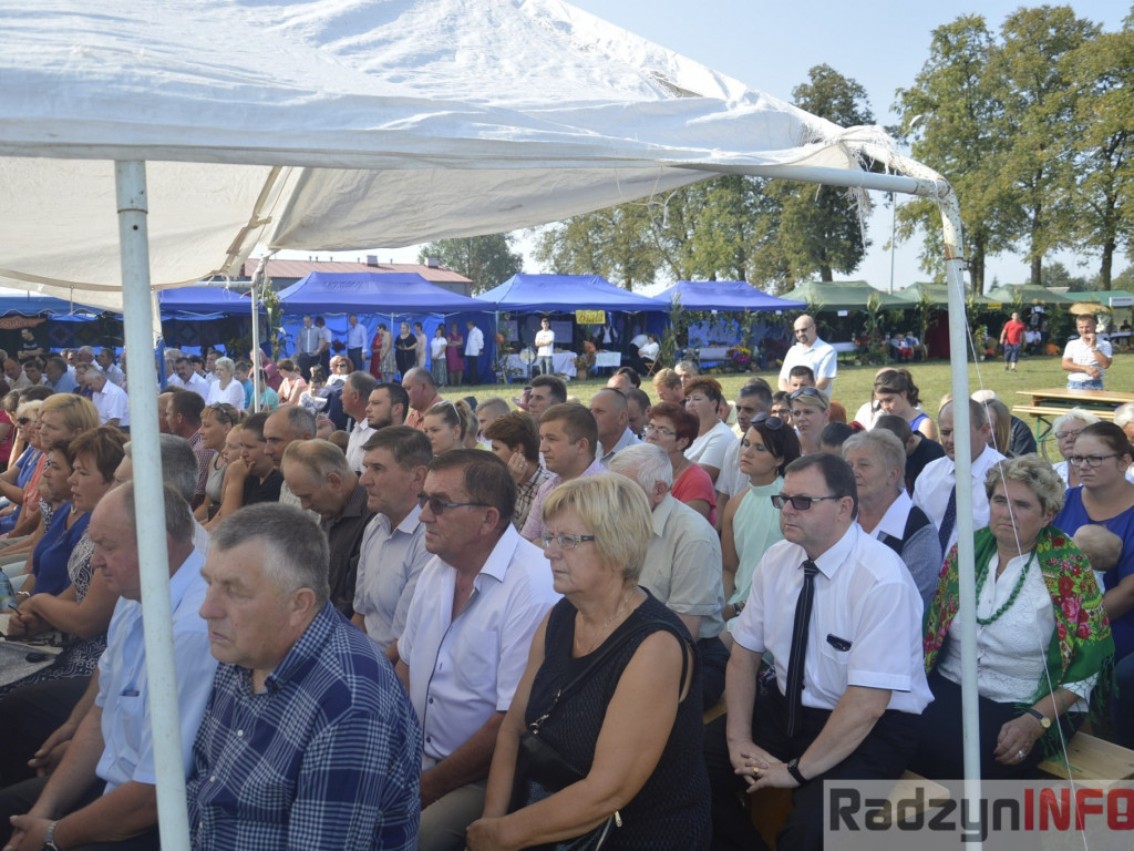 Dożynki gminy i powiatu radzyńskiego, cz. II