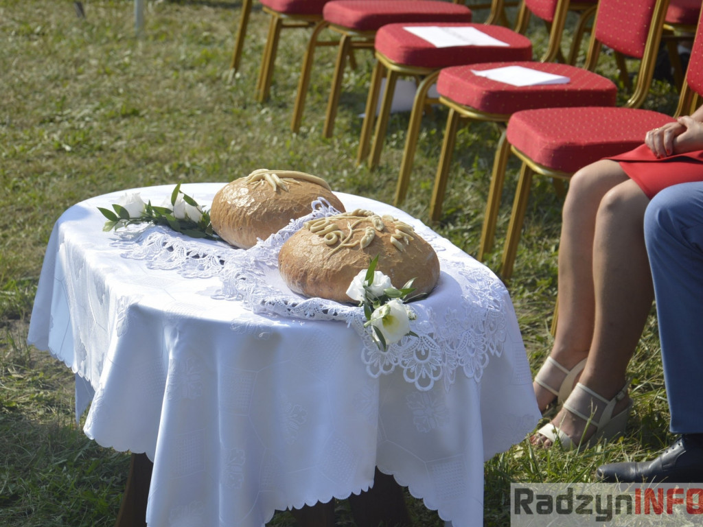 Dożynki gminy i powiatu radzyńskiego, cz. II