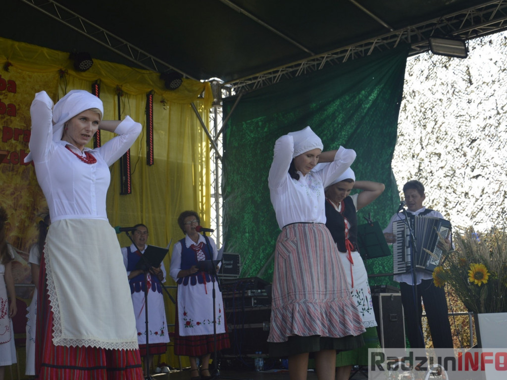 Dożynki gminy i powiatu radzyńskiego, cz. II