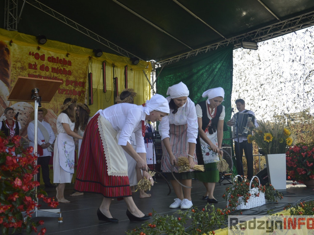 Dożynki gminy i powiatu radzyńskiego, cz. II