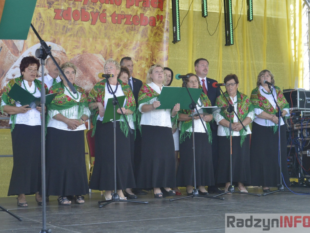 Dożynki gminy i powiatu radzyńskiego, cz. II