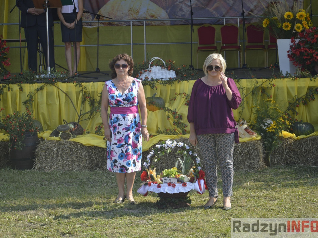 Dożynki gminy i powiatu radzyńskiego, cz. II