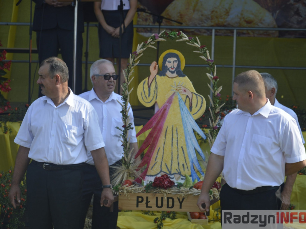 Dożynki gminy i powiatu radzyńskiego, cz. II