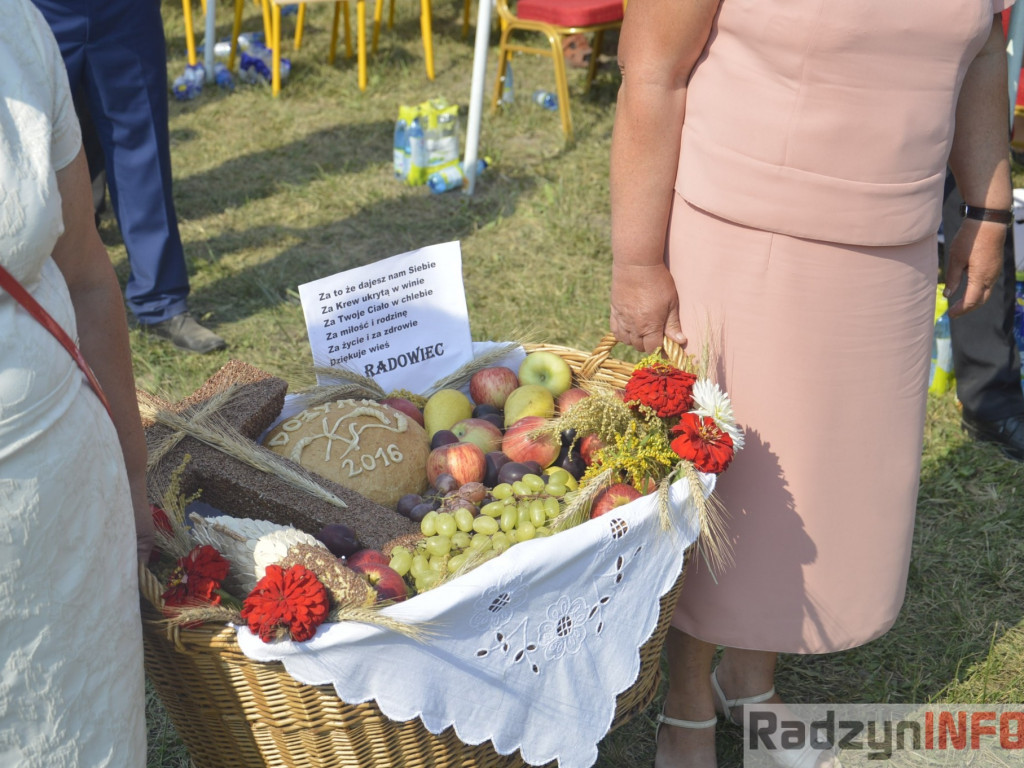 Dożynki gminy i powiatu radzyńskiego, cz. II