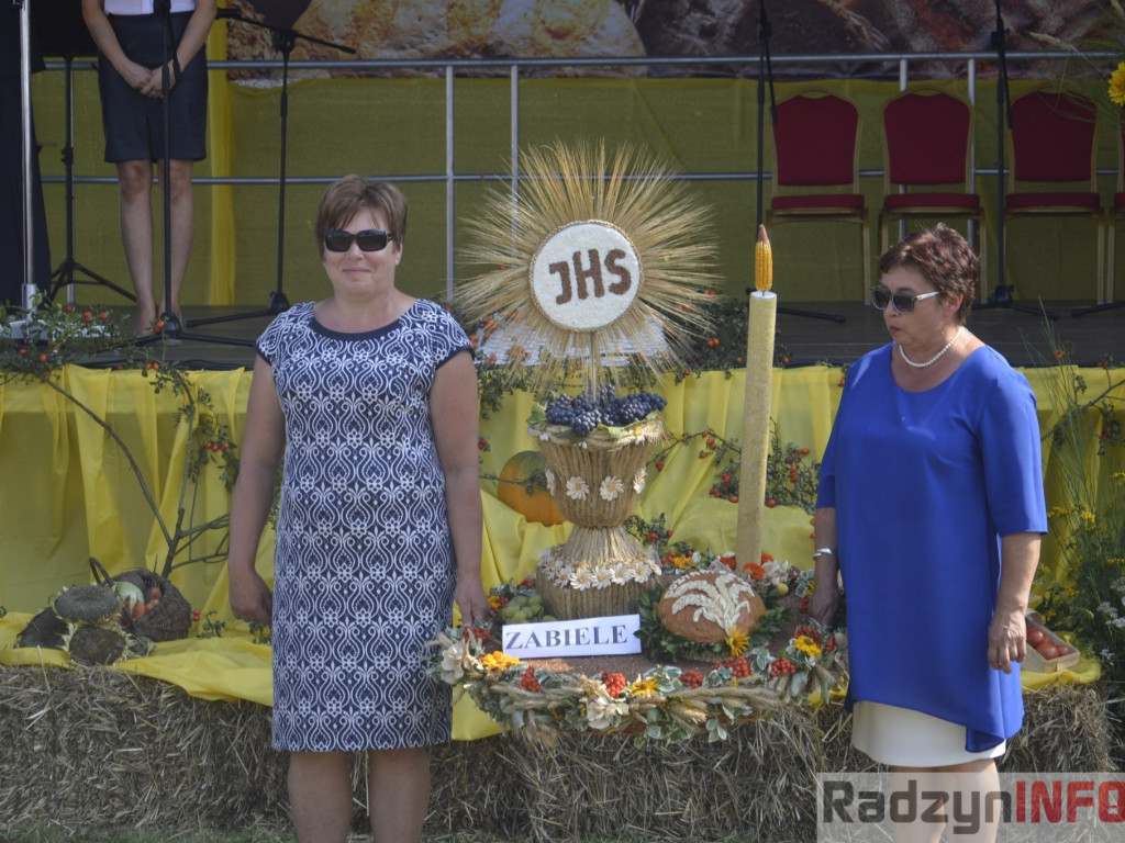 Dożynki gminy i powiatu radzyńskiego, cz. II