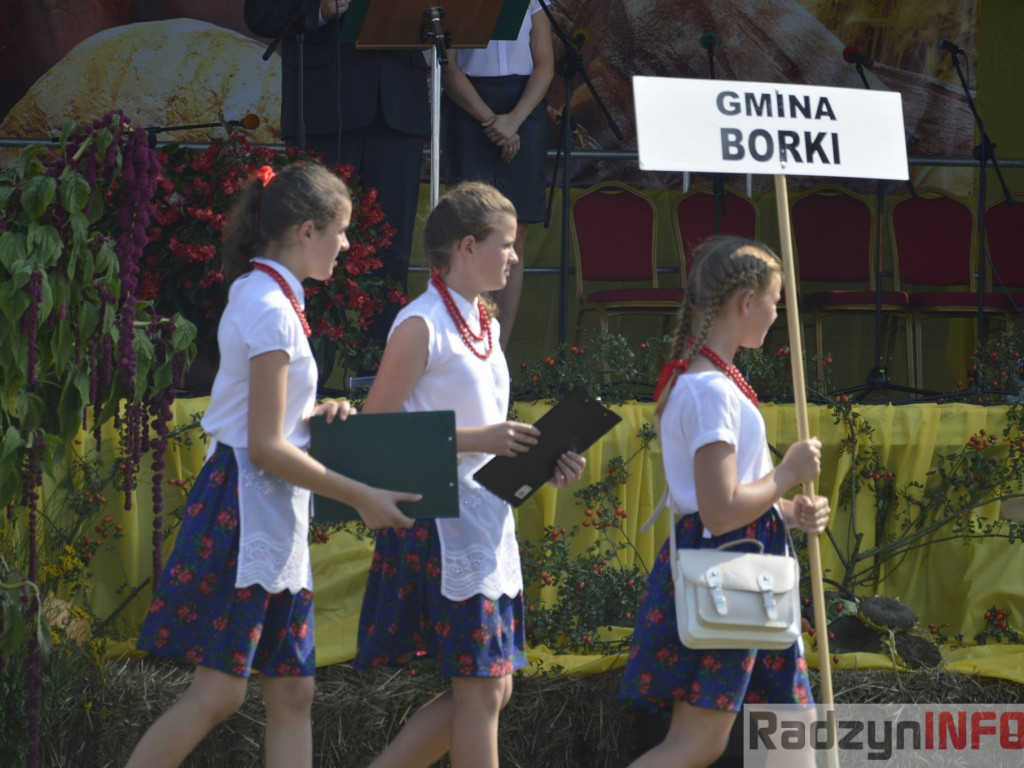 Dożynki gminy i powiatu radzyńskiego, cz. II