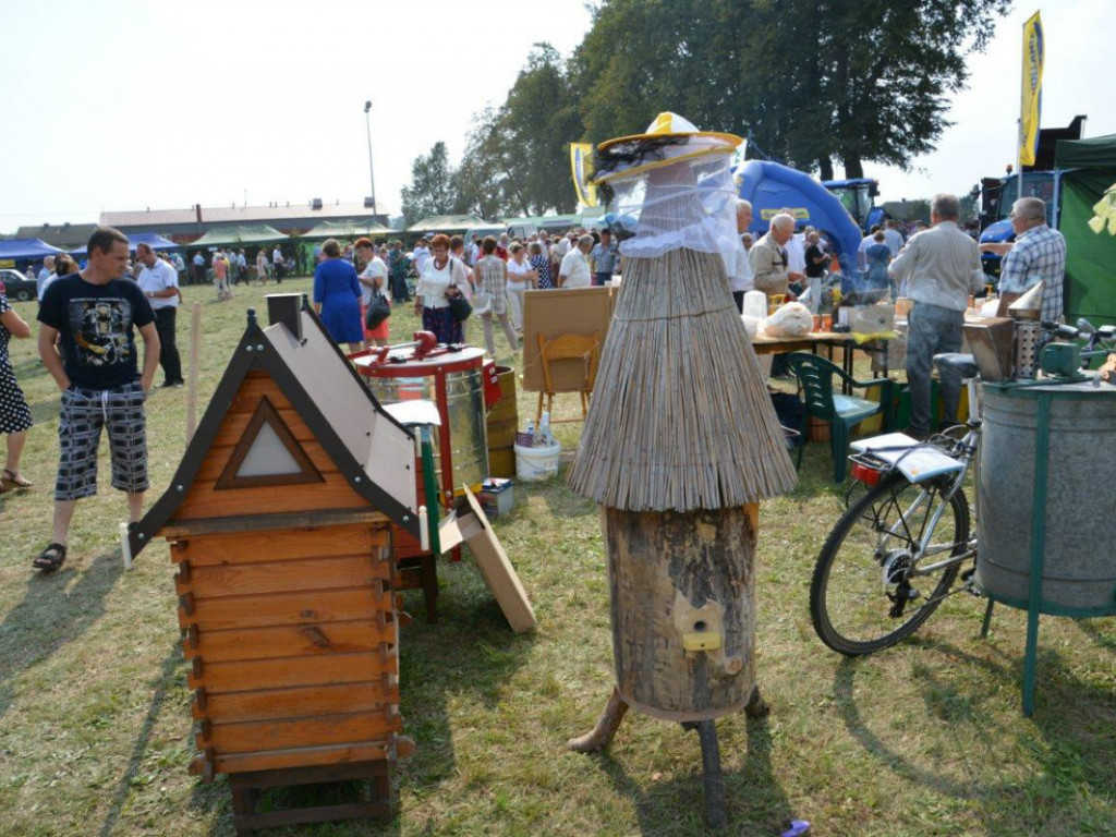 Dożynki, cz. IV