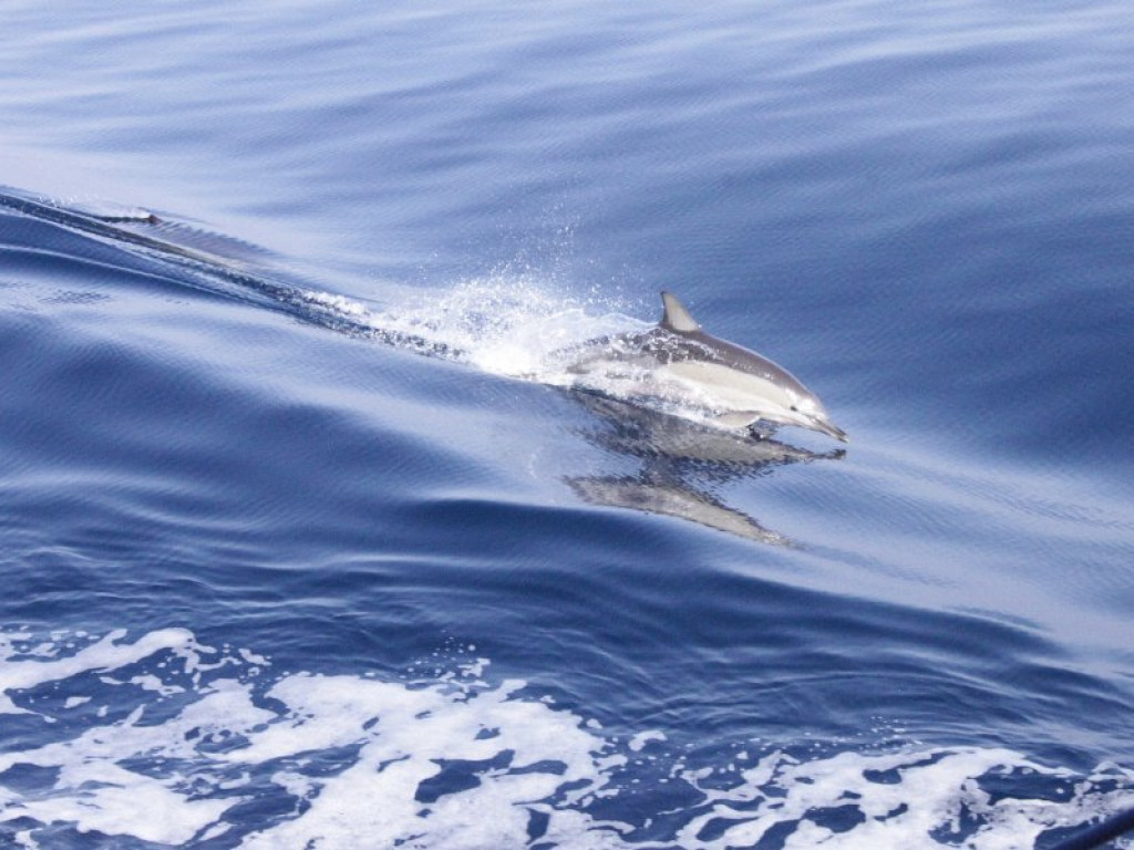 Praktyki uczniów ZSR w Grecji, cz. 2
