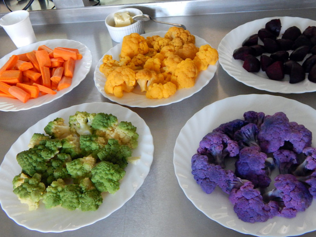 Uczniowie ZSP na Uniwersytecie Przyrodniczym w Lublinie