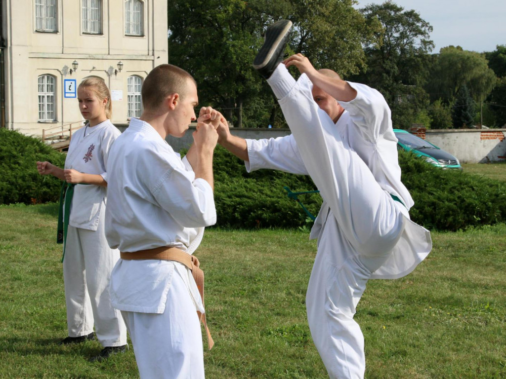 Fotorelacja z charytatywnego festynu rodzinnego