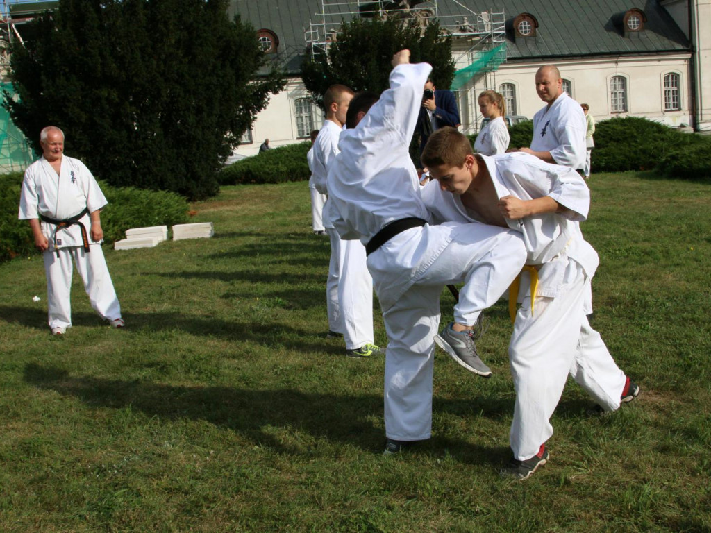 Fotorelacja z charytatywnego festynu rodzinnego