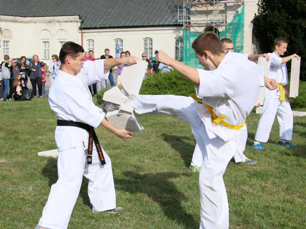 Fotorelacja z charytatywnego festynu rodzinnego