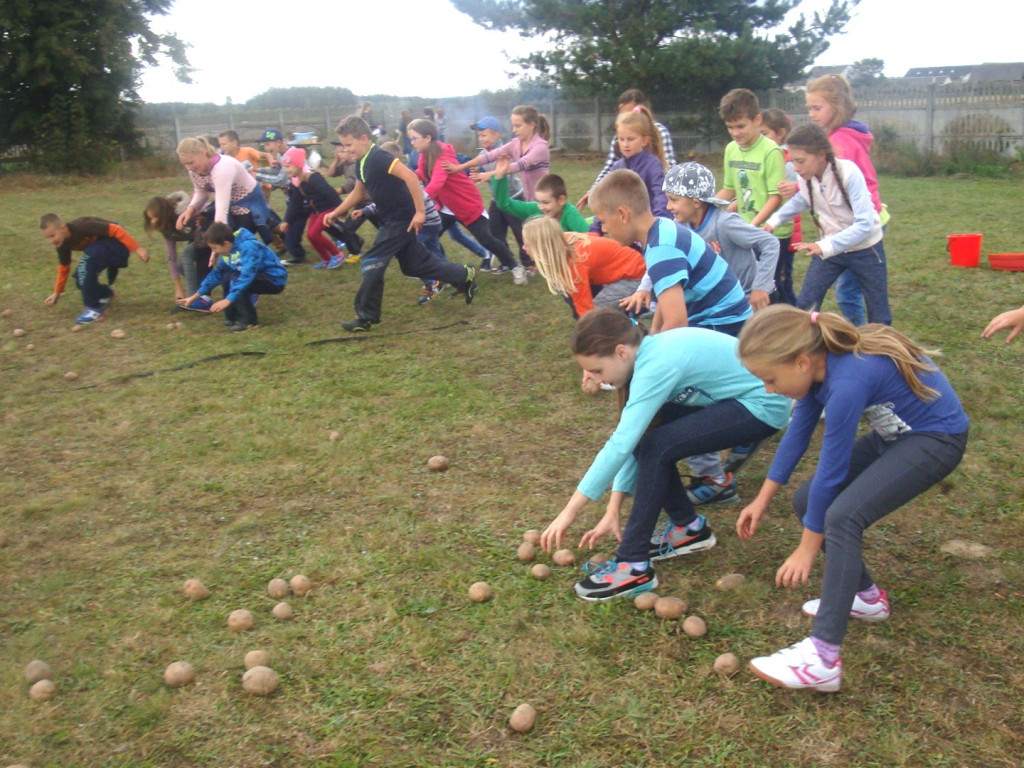 Święto Pieczonego Ziemniaka w SP w Zakrzewie