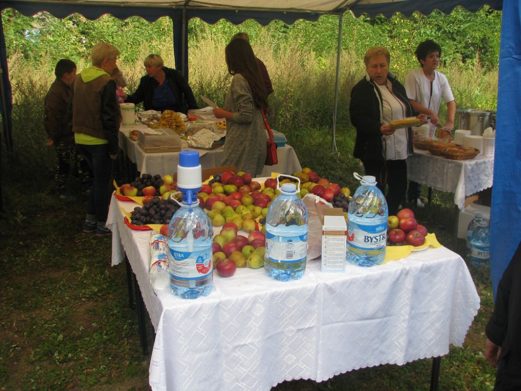 Piknik rodzinny w Borkach