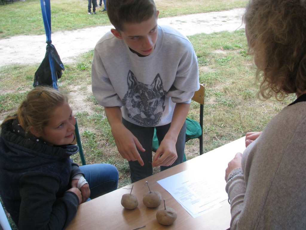 Piknik rodzinny w Borkach