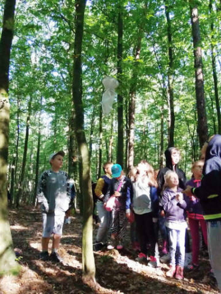 Zielona lekcja uczniów z Branicy Radzyńskiej