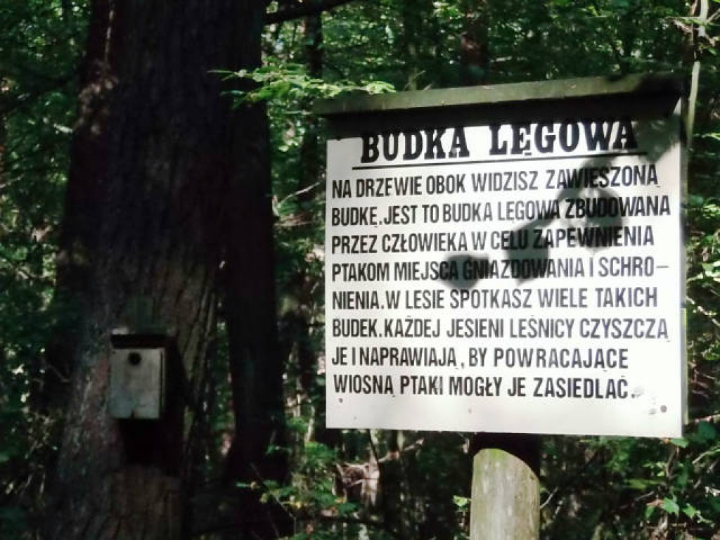 Zielona lekcja uczniów z Branicy Radzyńskiej