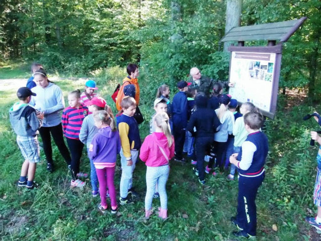 Zielona lekcja uczniów z Branicy Radzyńskiej