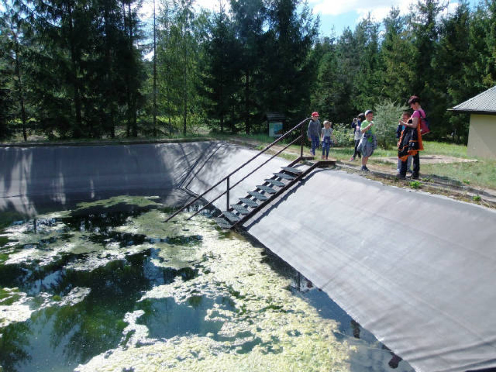 Zielona lekcja uczniów z Branicy Radzyńskiej