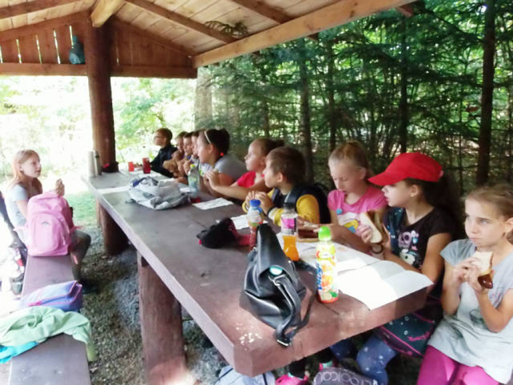 Zielona lekcja uczniów z Branicy Radzyńskiej