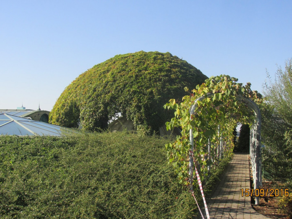 Z wizytą u Patrona - wycieczka do Warszawy