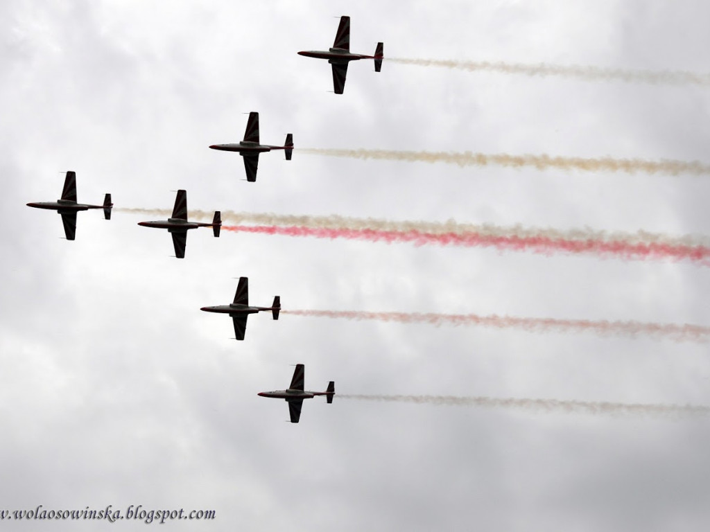 Uroczyste obchody 95-lecia powstania Szkoły Podstawowej w Woli Osowińskiej