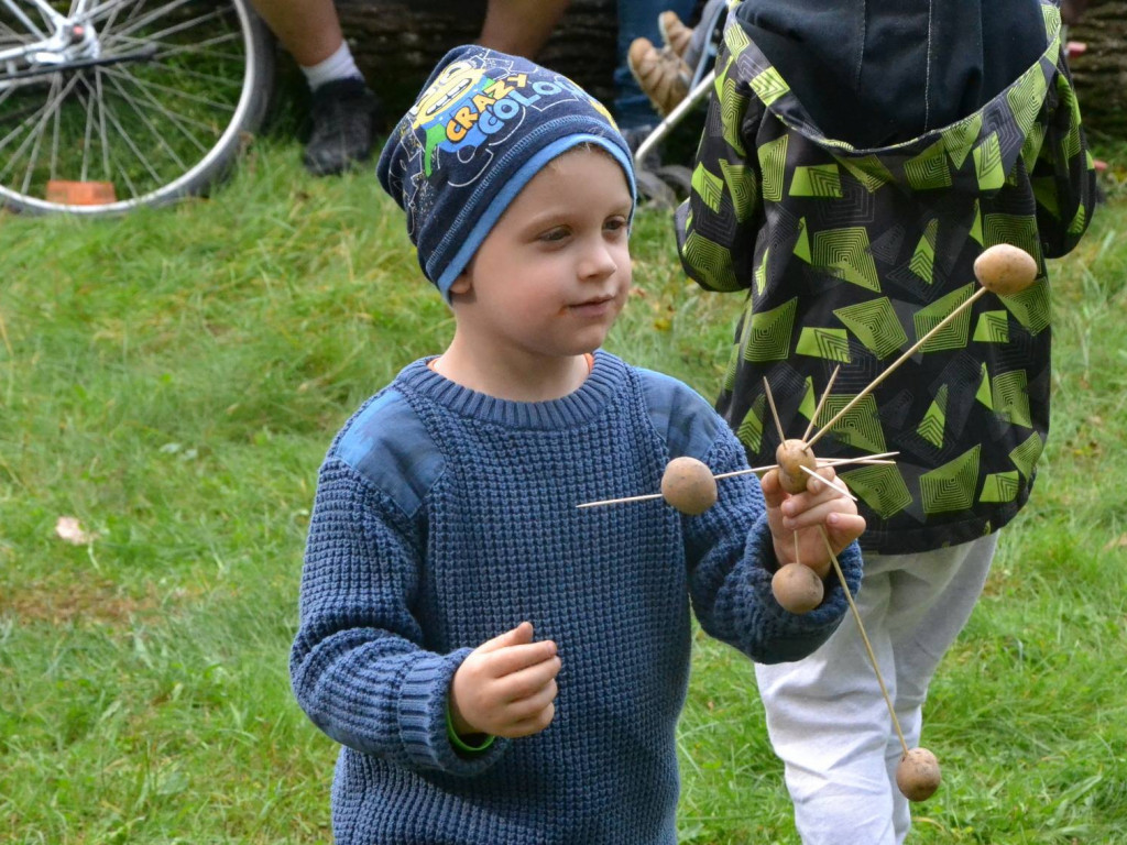 W Feliksówce rządził ziemniak