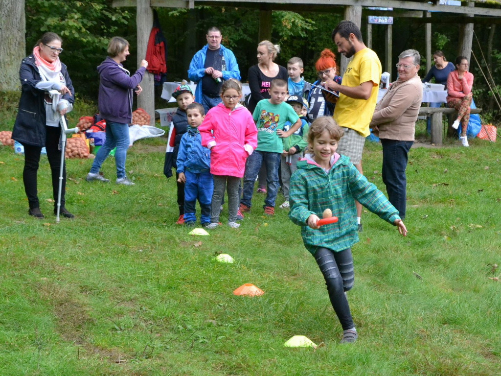 W Feliksówce rządził ziemniak