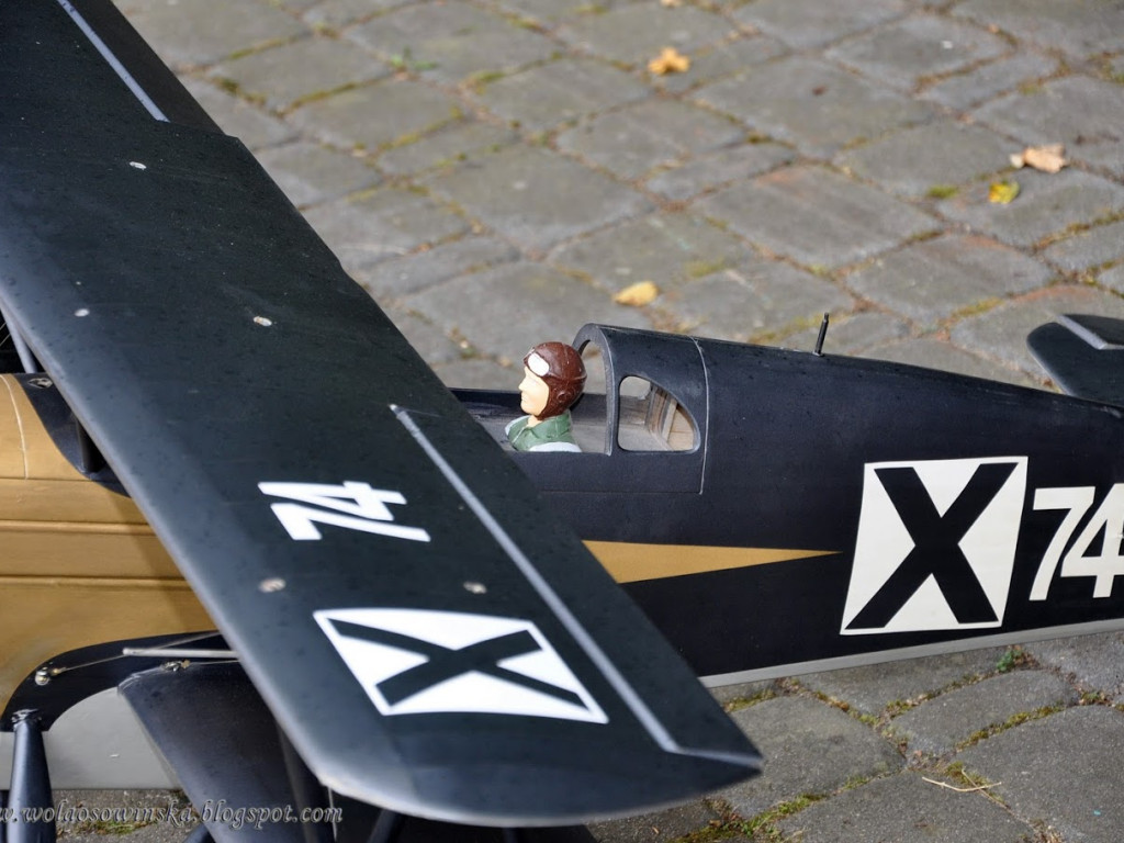 Pokaz modeli latających w Woli Osowińskiej