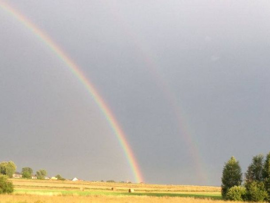 Rozstrzygnięcie konkursu fotograficznego 