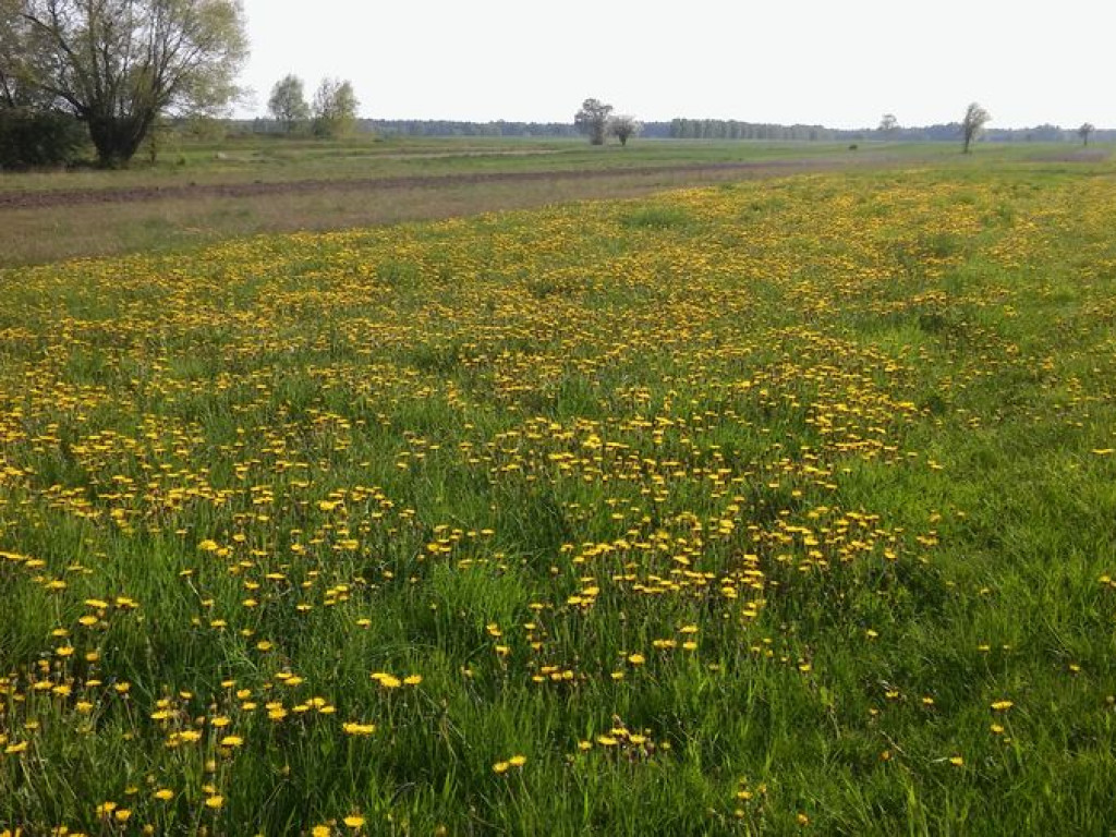 Rozstrzygnięcie konkursu fotograficznego 