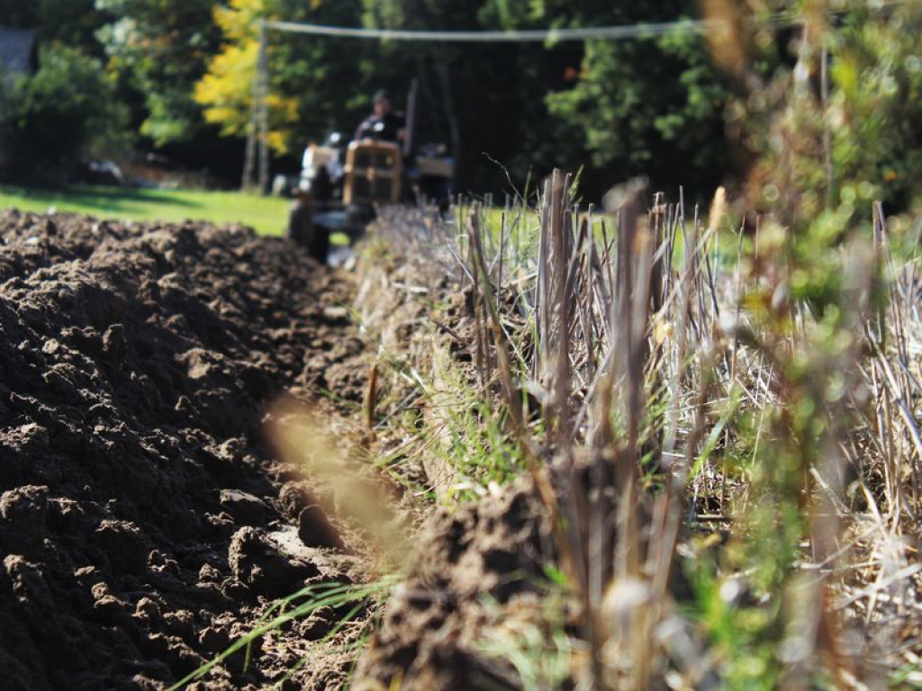 Rozstrzygnięcie konkursu fotograficznego 