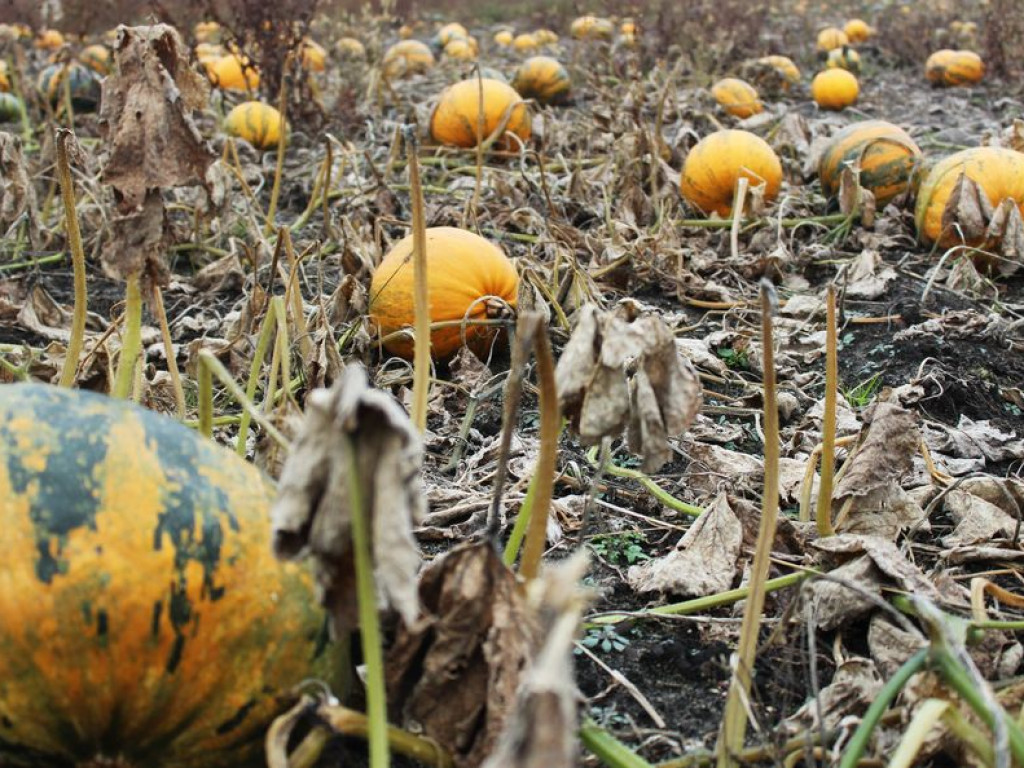 Rozstrzygnięcie konkursu fotograficznego 